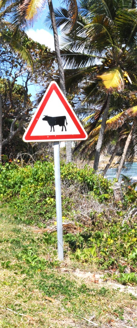 un panneau assez atypique sur une route de Marie-Galante