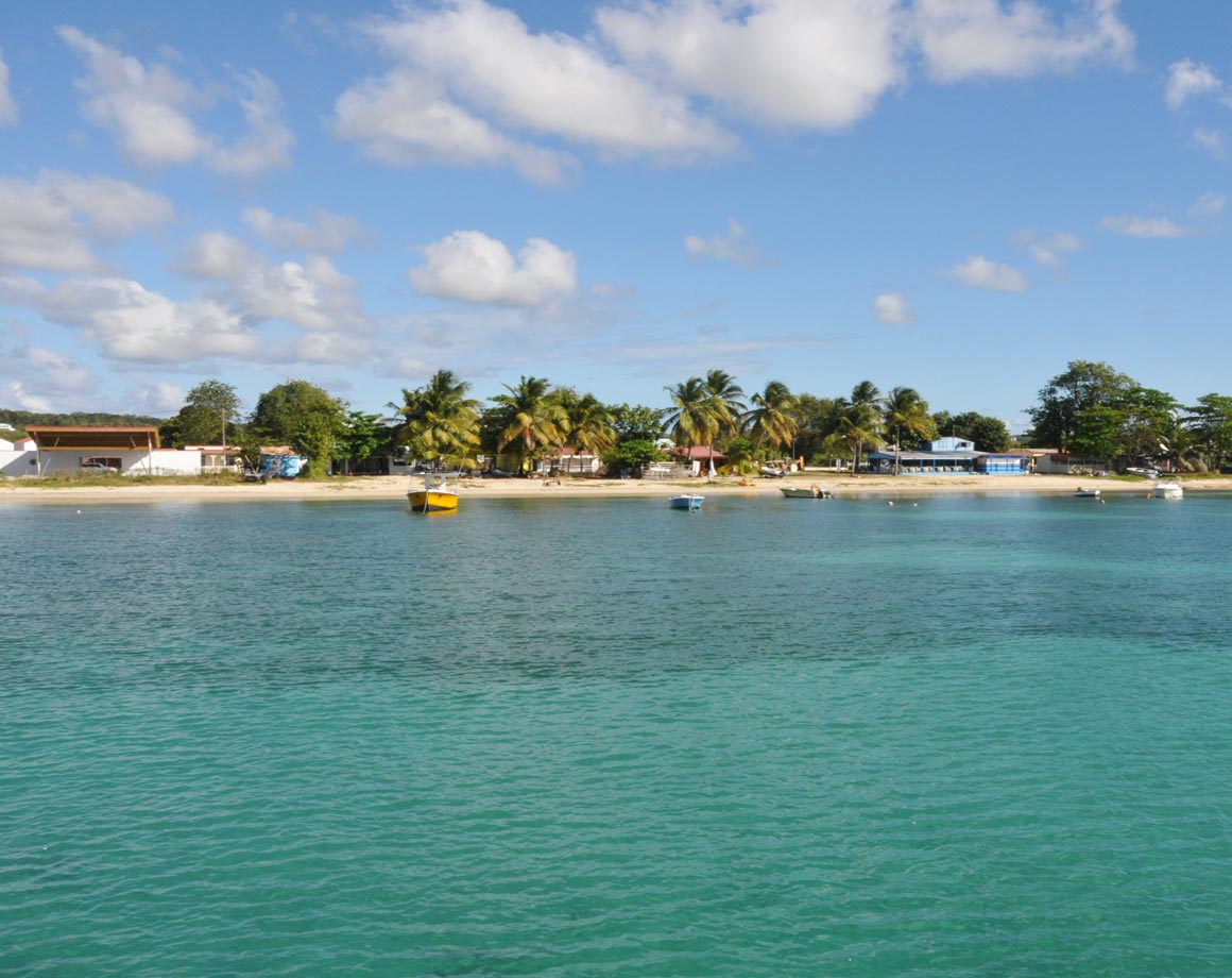 Vue sur un village cotier de Marie-Galante