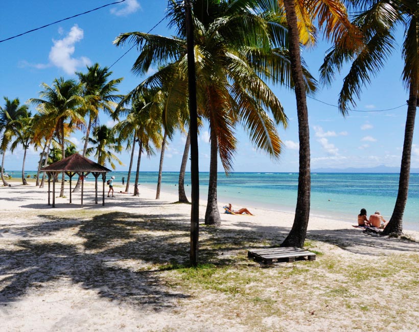 Déjeuner sous les cocotiers, Marie-Galante