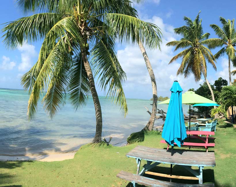 Déjeuner pieds dans l'eau Marie-Galante