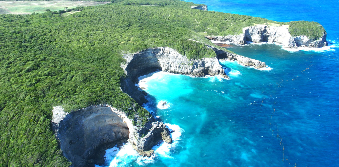 Isla Guadalupe ✈️ Forum Caribbean: Cuba, Jamaica