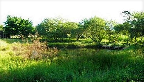 Mare au punch, site touristique Marie-Galante